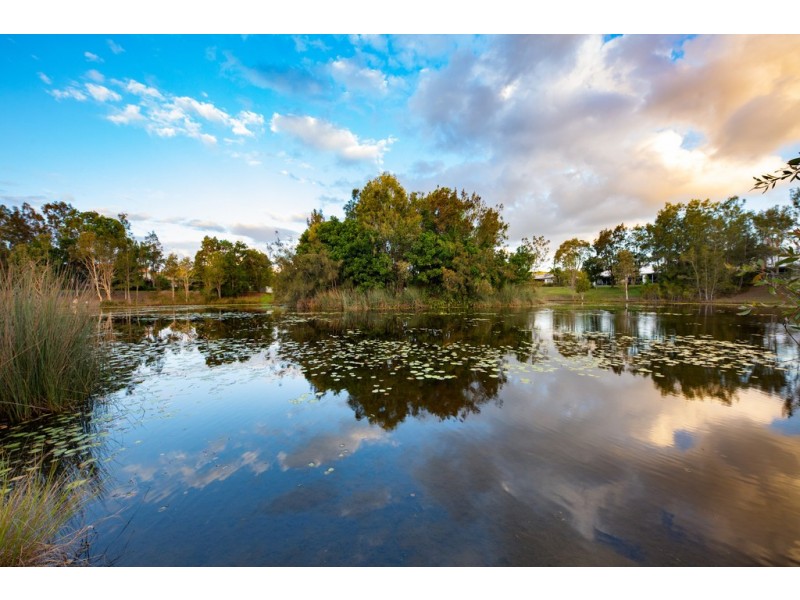 12 Attenuatta Place, Noosaville QLD 4566