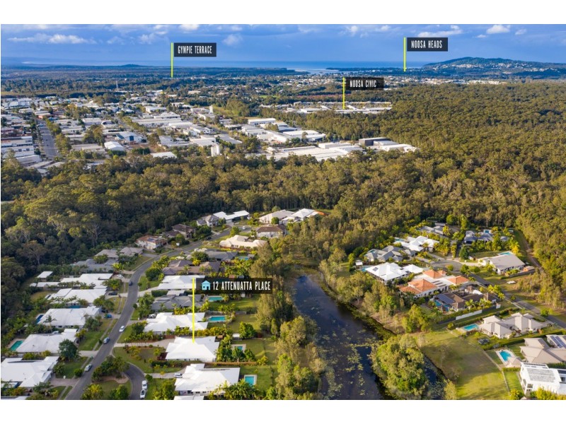 12 Attenuatta Place, Noosaville QLD 4566