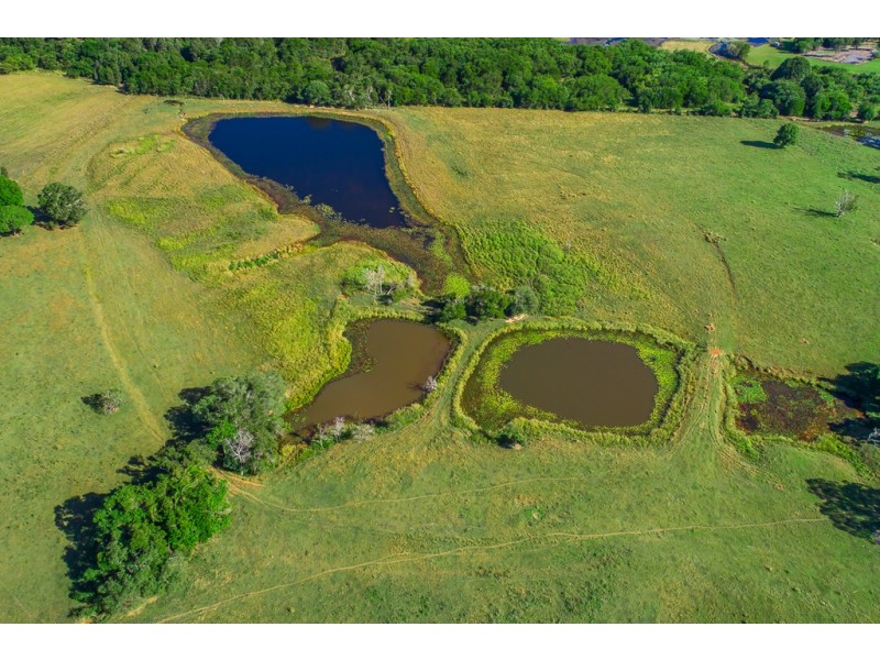 244 Cooroy Mountain Road, Cooroy Mountain QLD 4563