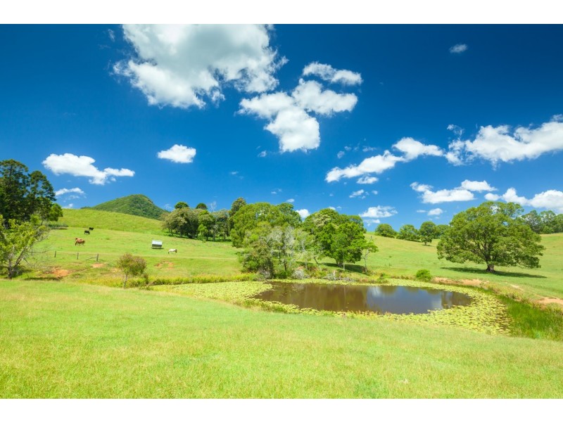 244 Cooroy Mountain Road, Cooroy Mountain QLD 4563