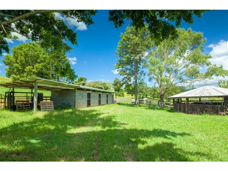 244 Cooroy Mountain Road, Cooroy Mountain QLD 4563