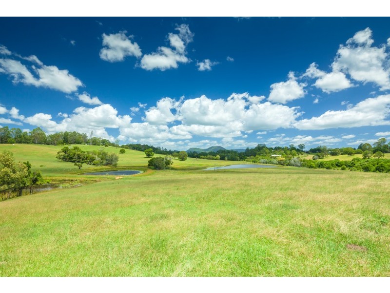 244 Cooroy Mountain Road, Cooroy Mountain QLD 4563