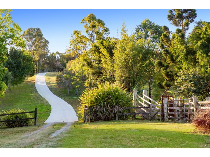 145 Blanckensee Road, Black Mountain QLD 4563