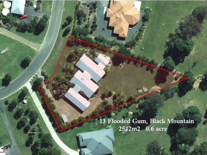 13 Flooded Gum Place, Black Mountain QLD 4563