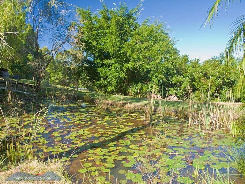 337 Sunrise Road, Doonan QLD 4562