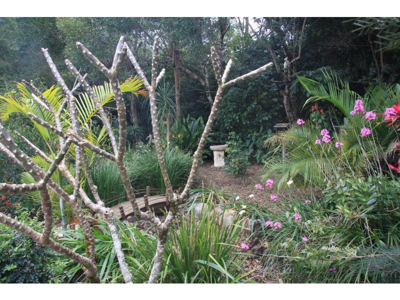 Eumundi QLD 4562