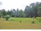 Eumundi QLD 4562