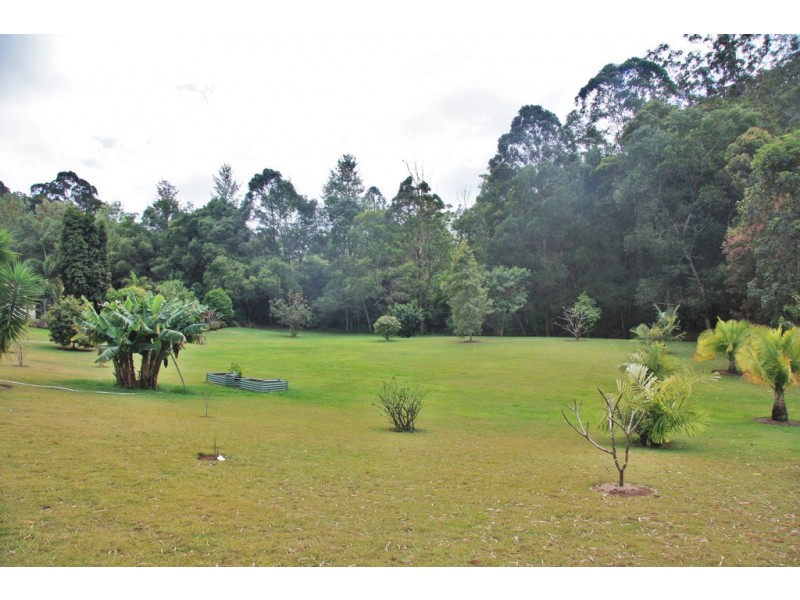 Eumundi QLD 4562