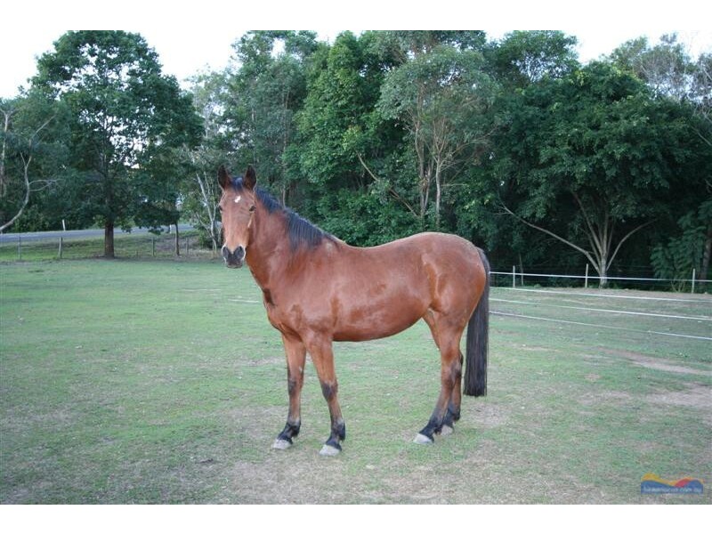 4 Havenside Ct, Pomona QLD 4568