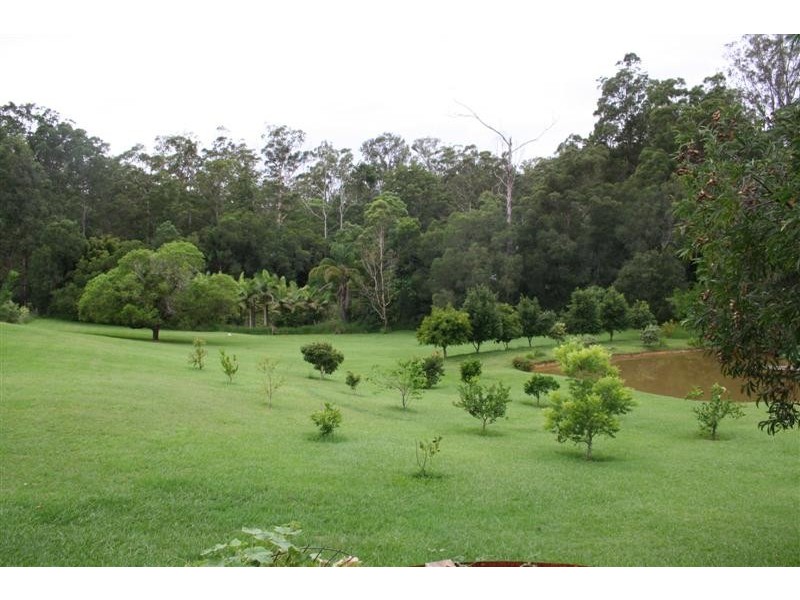 42 Black Mountain Rd, Cooroy QLD 4563