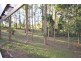 Eumundi QLD 4562