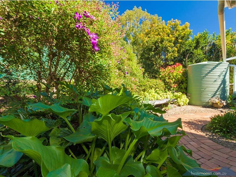 17 Ashgrove Drive, Cooroy QLD 4563