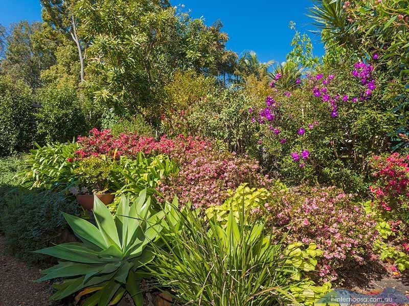 17 Ashgrove Drive, Cooroy QLD 4563