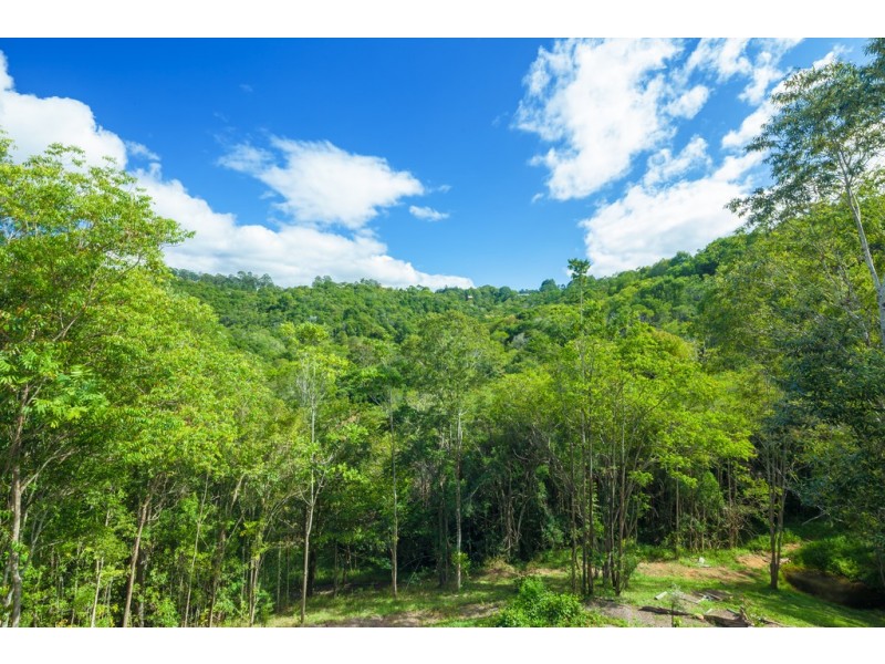 20 Blueberry Lane, Eumundi QLD 4562