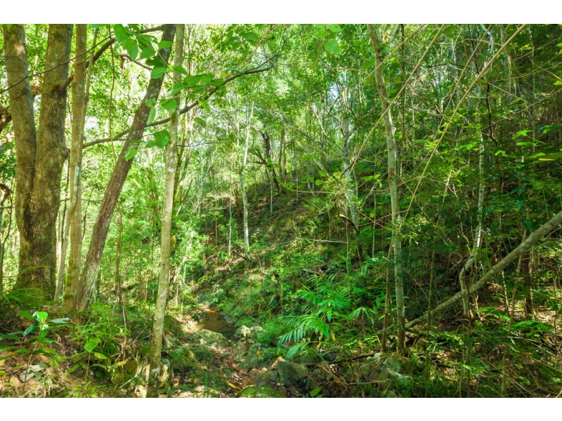 20 Blueberry Lane, Eumundi QLD 4562