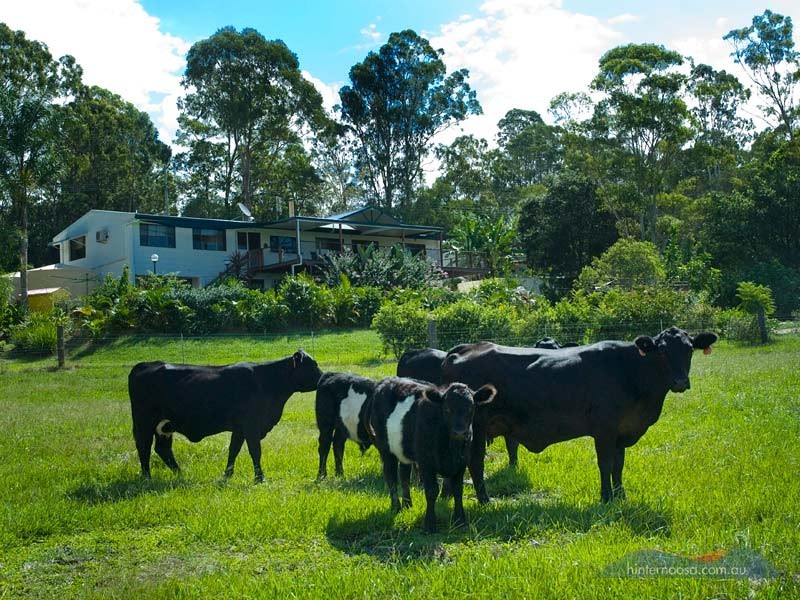 31 to 49 Browns Rd, Belli Park QLD 4562