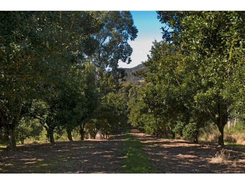 160 to 162 Browns Rd, Eerwah Vale QLD 4562