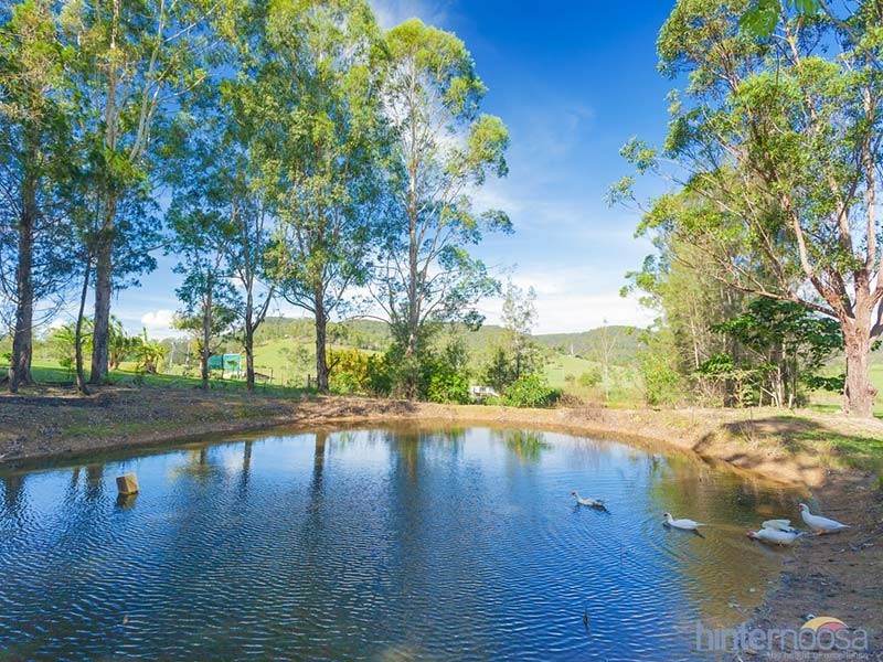 173 Browns Road, Belli Park QLD 4562