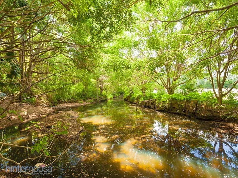 775 Browns Creek Road, Eerwah Vale QLD 4562