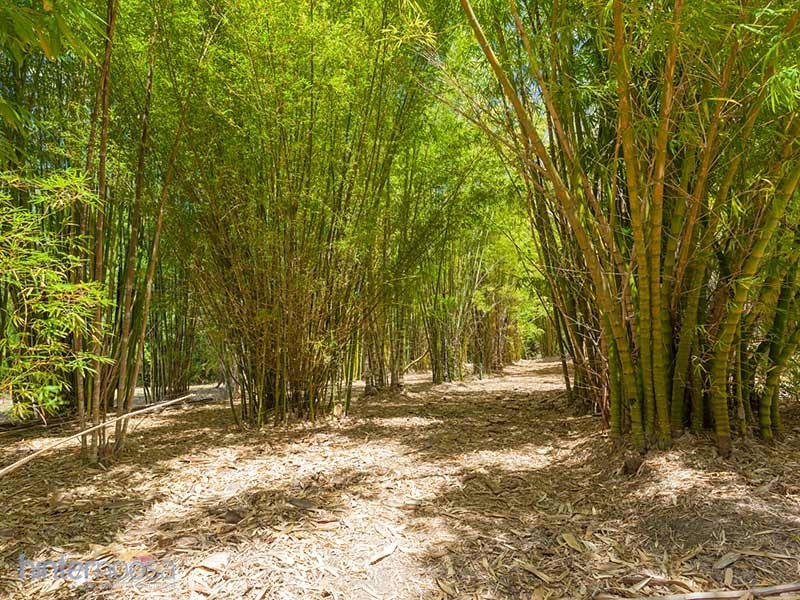 775 Browns Creek Road, Eerwah Vale QLD 4562