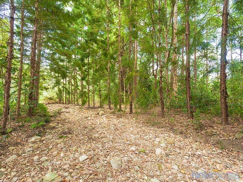 775 Browns Creek Road, Eerwah Vale QLD 4562