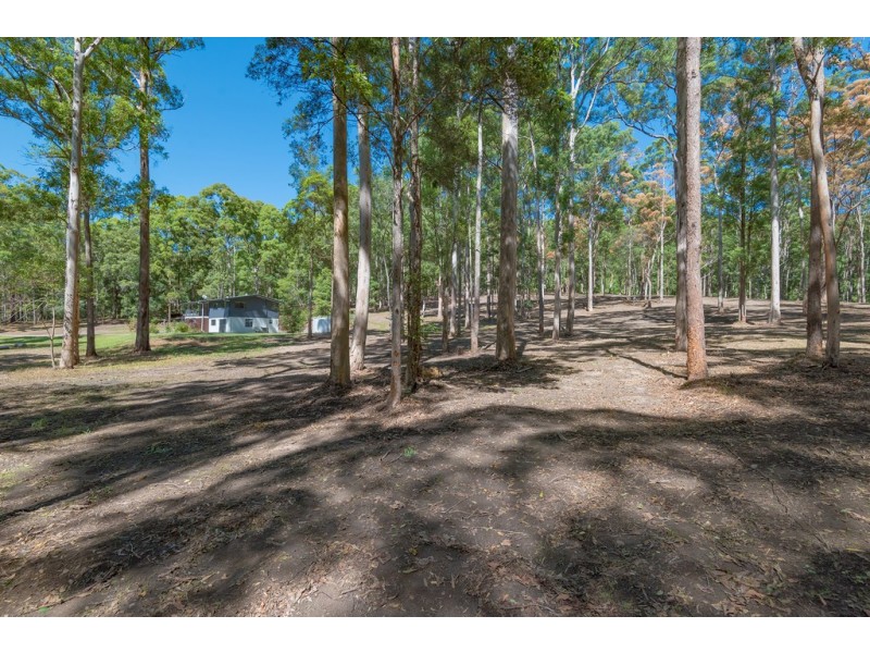 590 Bunya Road, Eumundi QLD 4562