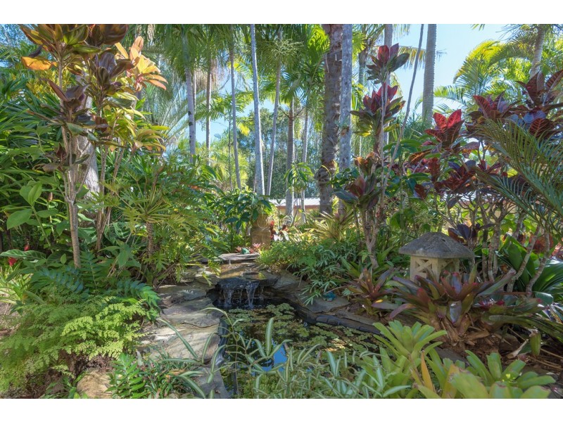 3 Capricorn Court, Eumundi QLD 4562