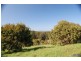 31 Coast View Parade, Doonan QLD 4562