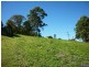 7 Crescent Rd, Eumundi QLD 4562