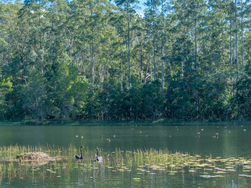 122 Dean Rd, Verrierdale QLD 4562