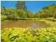 45 Dierdre Drive, Eumundi QLD 4562