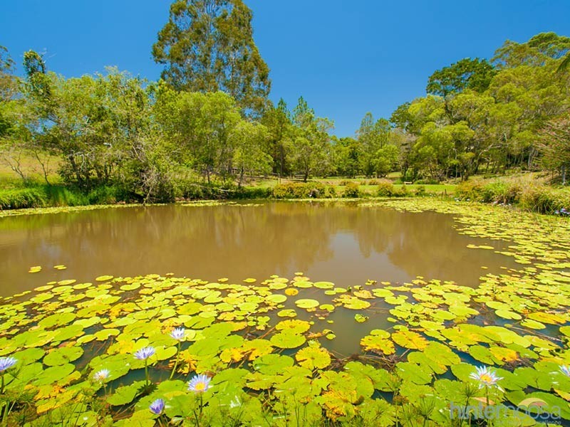 45 Dierdre Drive, Eumundi QLD 4562