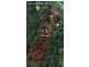 258 Duke Road, Doonan QLD 4562