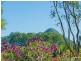 334 Duke Rd, Doonan QLD 4562
