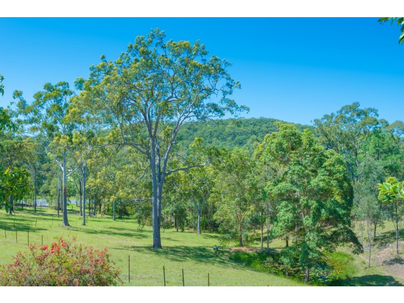 1389 Eumundi Noosa Rd, Eumundi QLD 4562