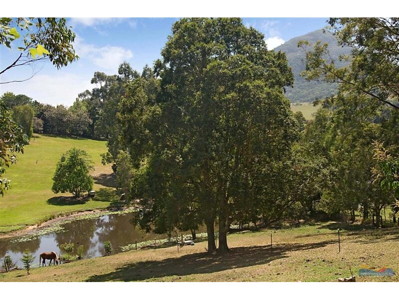 351 Eumundi Range Rd, Eumundi QLD 4562
