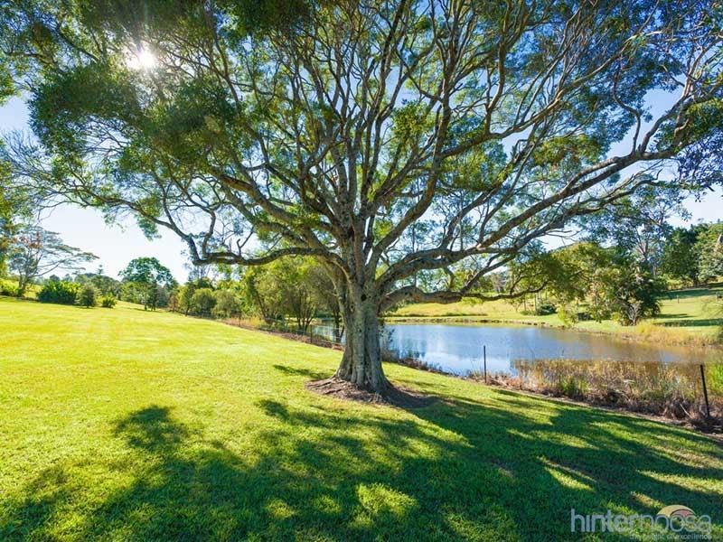 425 to 429 Eumundi Range Rd, Eumundi QLD 4562