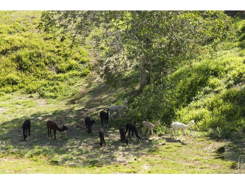 563 EUMUNDI-KENILWORTH RD, Eerwah Vale QLD 4562