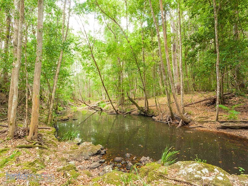 931 Eumundi Kenilworth Rd, Belli Park QLD 4562