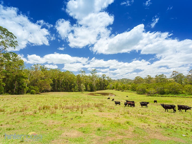 931 Eumundi Kenilworth Rd, Belli Park QLD 4562