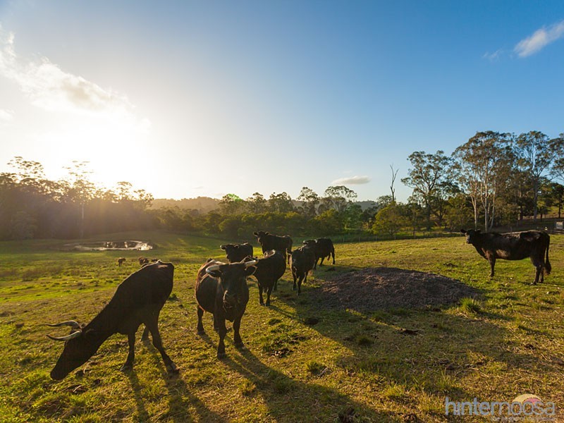 931 Eumundi Kenilworth Rd, Belli Park QLD 4562