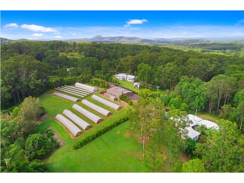 1114 Eumundi Noosa Road, Verrierdale QLD 4562