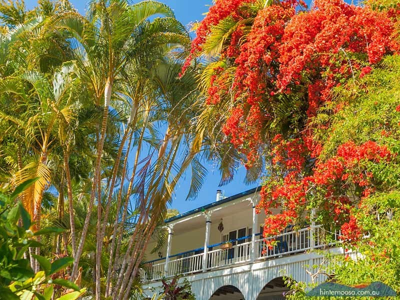 1354 Eumundi Noosa Road, Eumundi QLD 4562