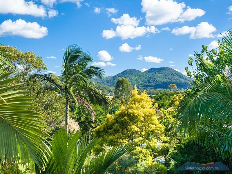 1 Finley Road, Eumundi QLD 4562
