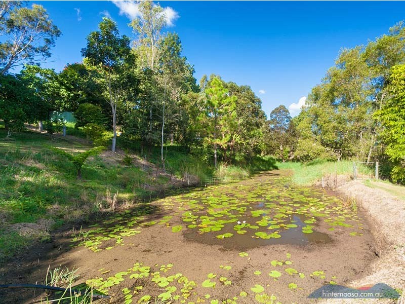 1 Finley Road, Eumundi QLD 4562