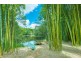 140 Finley Road, Eumundi QLD 4562