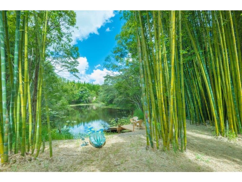 140 Finley Road, Eumundi QLD 4562