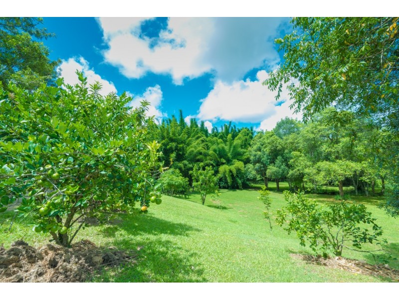 140 Finley Road, Eumundi QLD 4562