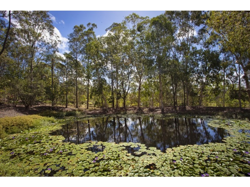 123 Fleetwood Rd, Belli Park QLD 4562