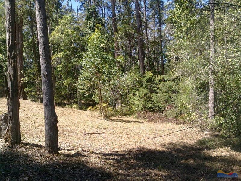 64 Forest Ridge Dr, Doonan QLD 4562